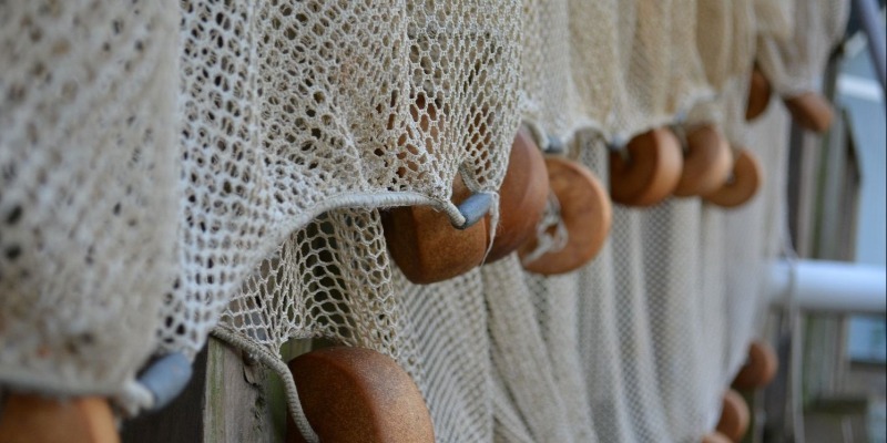 Nets