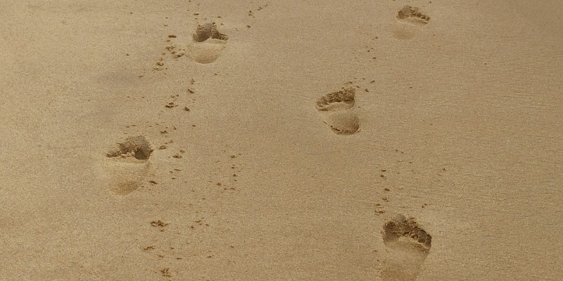 footprints2